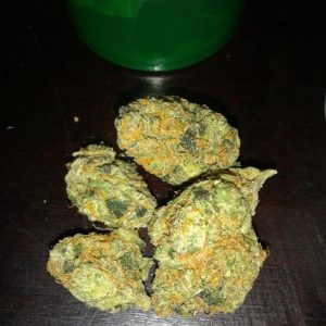 Buy G-13 Haze Kush