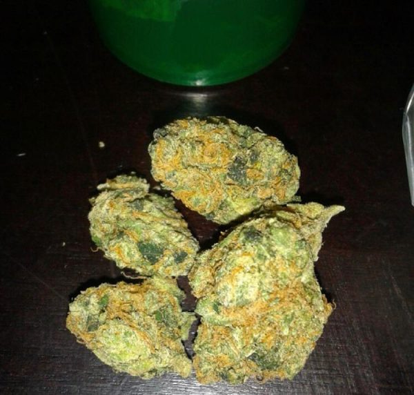 Buy G-13 Haze Kush