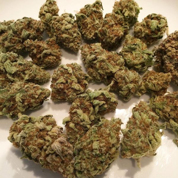 Buy Gelato Strain Online