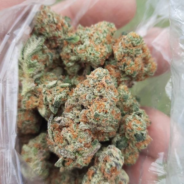 Buy Grapefruit Strain