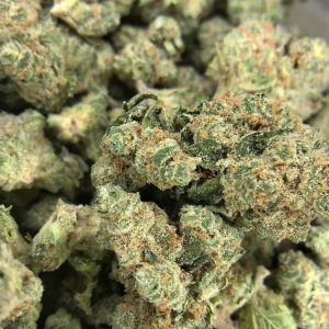 Where to Buy Maui Wowie Strain