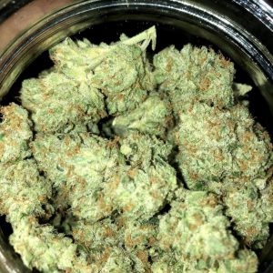 Buy Lemon Diesel Strain Online