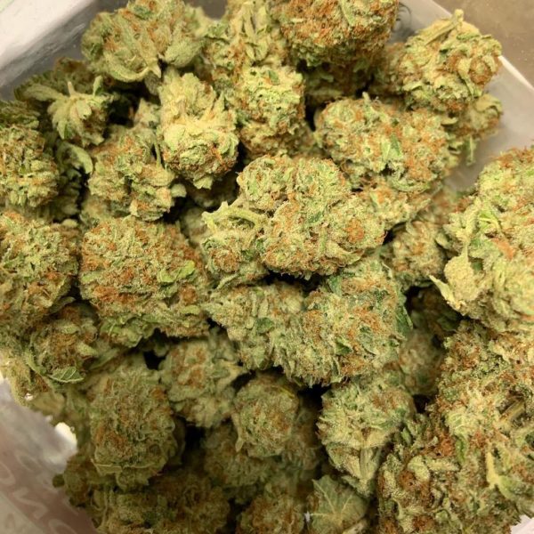 Buy Cinderella 99 Strain