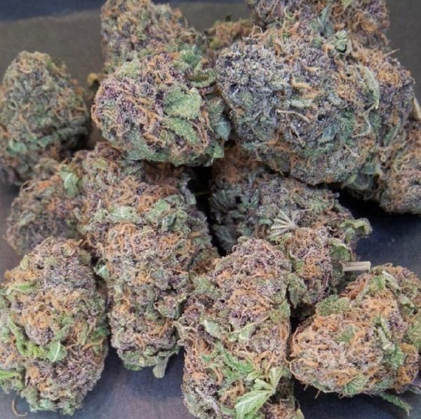 Grand Daddy Purple Kush