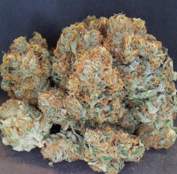 skywalker og strain indica or sativa