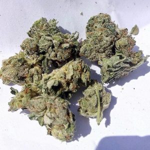 Super Skunk Kush