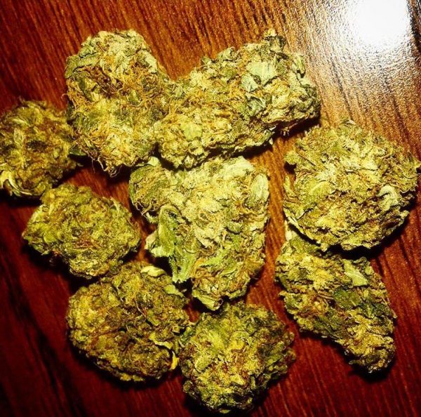 Buy Afghan Kush Online