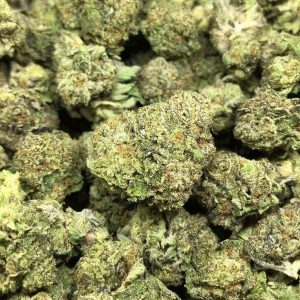 Buy Bay 11 Weed Strain