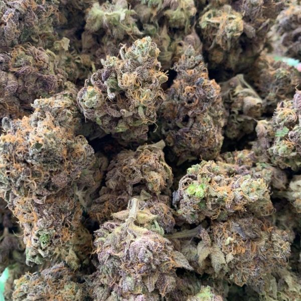 Hindu Kush Purple - Big Strain 420 Hindu Kush Purple