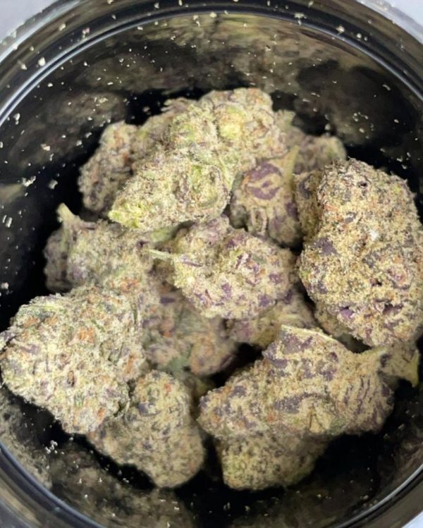 Purple Punch Strain