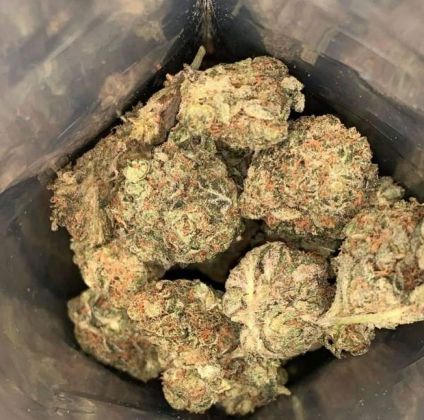 Buy Sunset Sherbet Strain