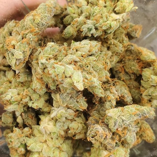 Buy Banana OG Online