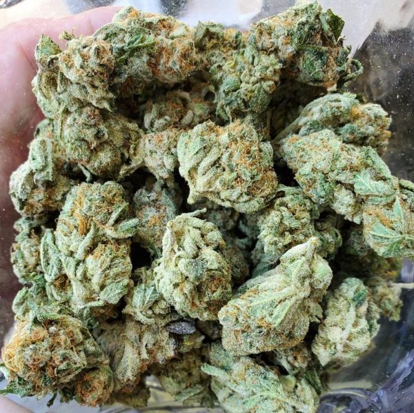 Buy White Widow Strain Online