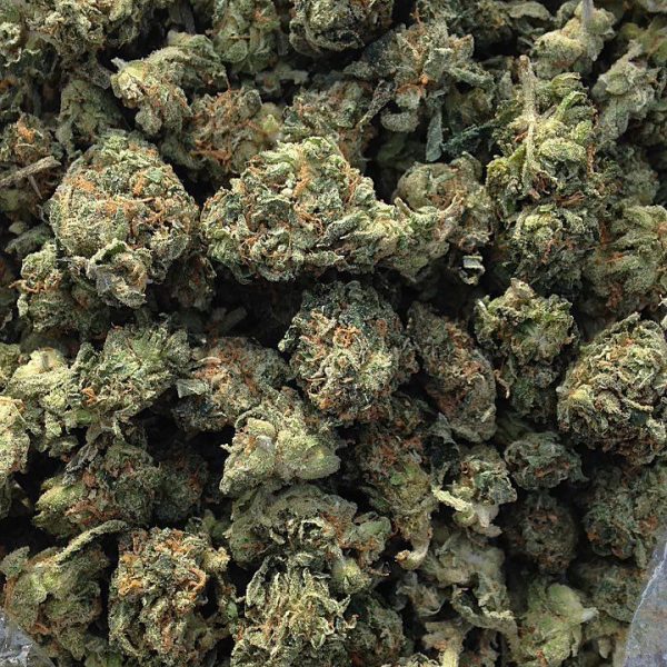 Buy Master Kush Online