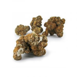 Psilocybe Utopia Truffles